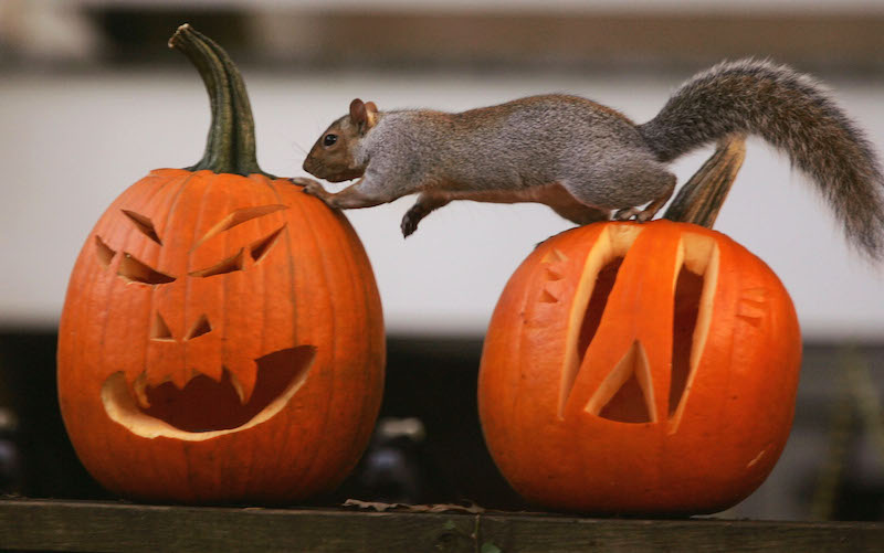 Image via Getty.